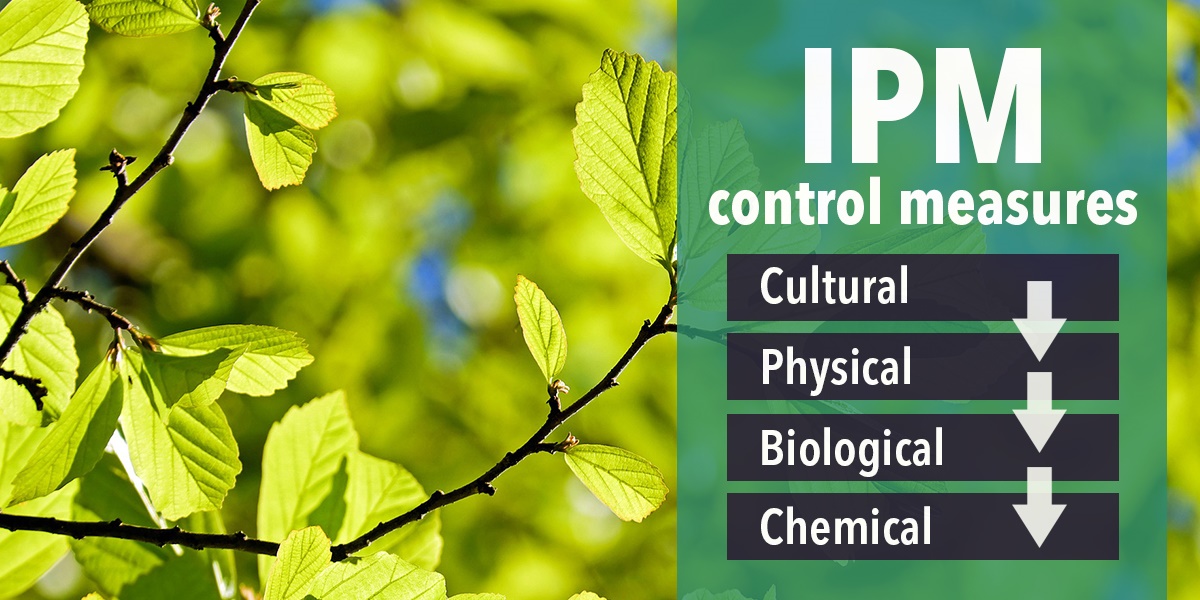 IPM control measure IPM control measure